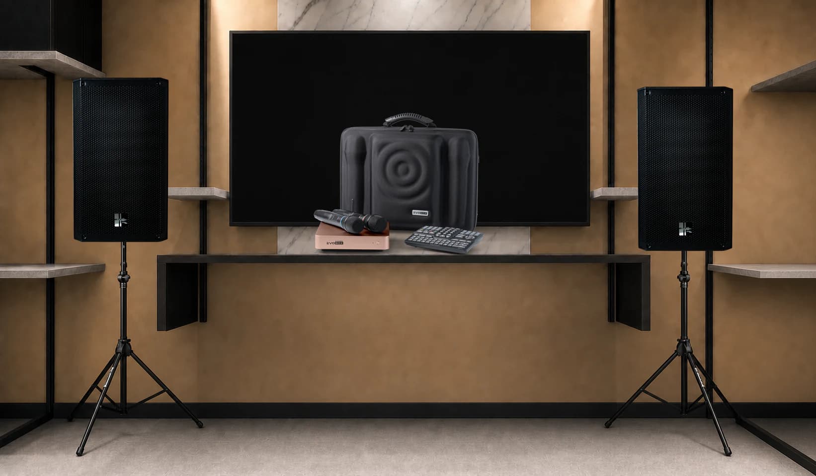Караоке-комплект SS-R10A ×2 + EVOBOX Plus
