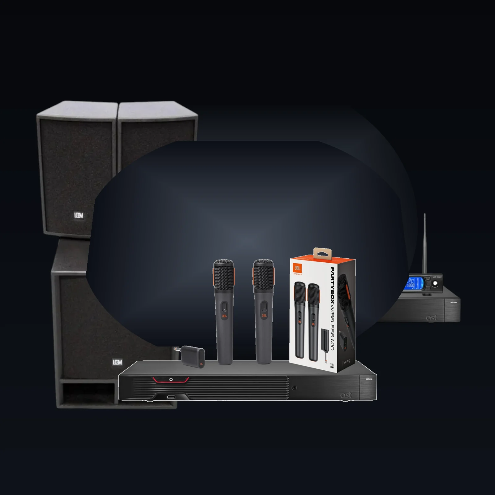AST-250 + Jbl + LEEM SP-1510A 2:1