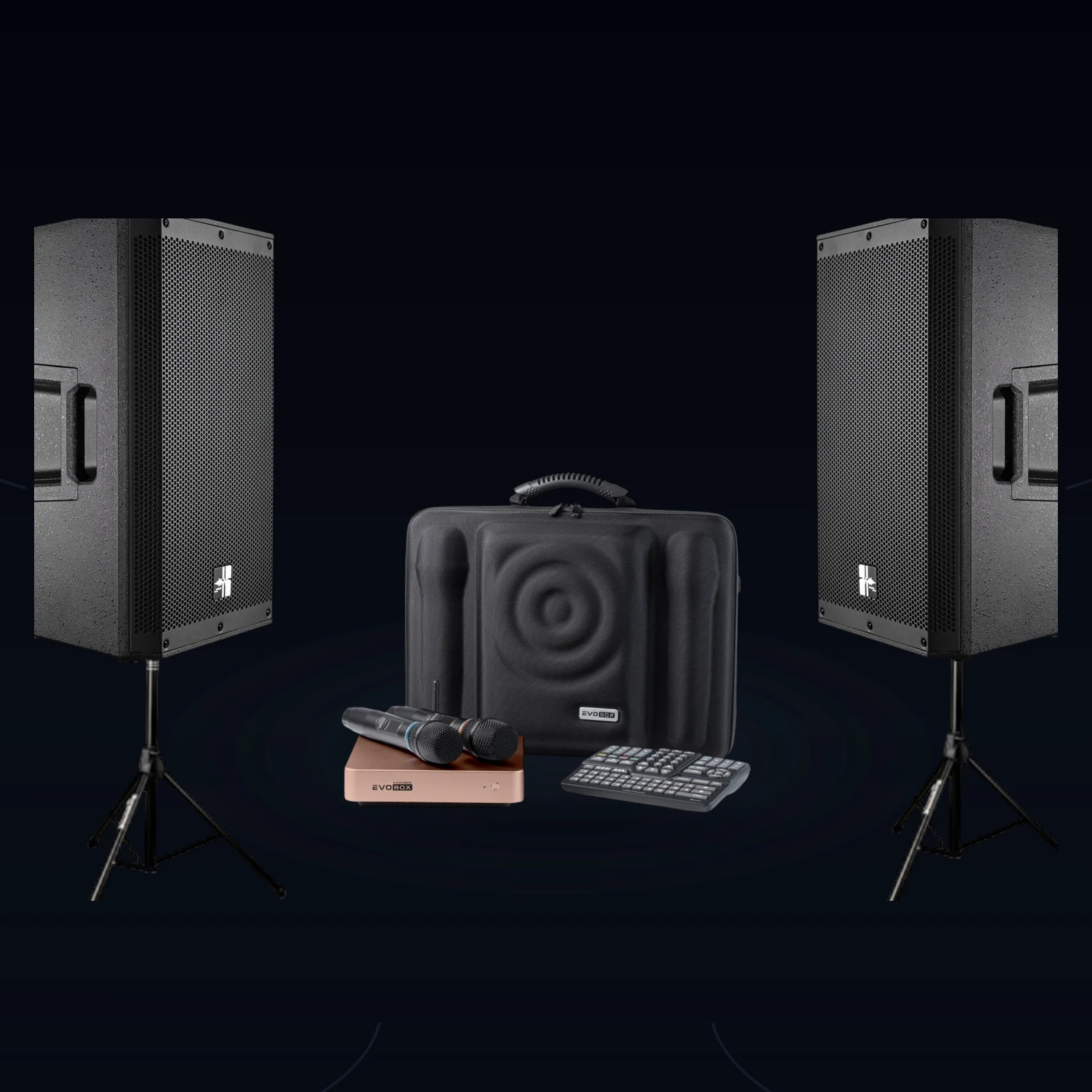 EvoBox Plus + комплектные микрофоны + Sweden Sound SS R15A